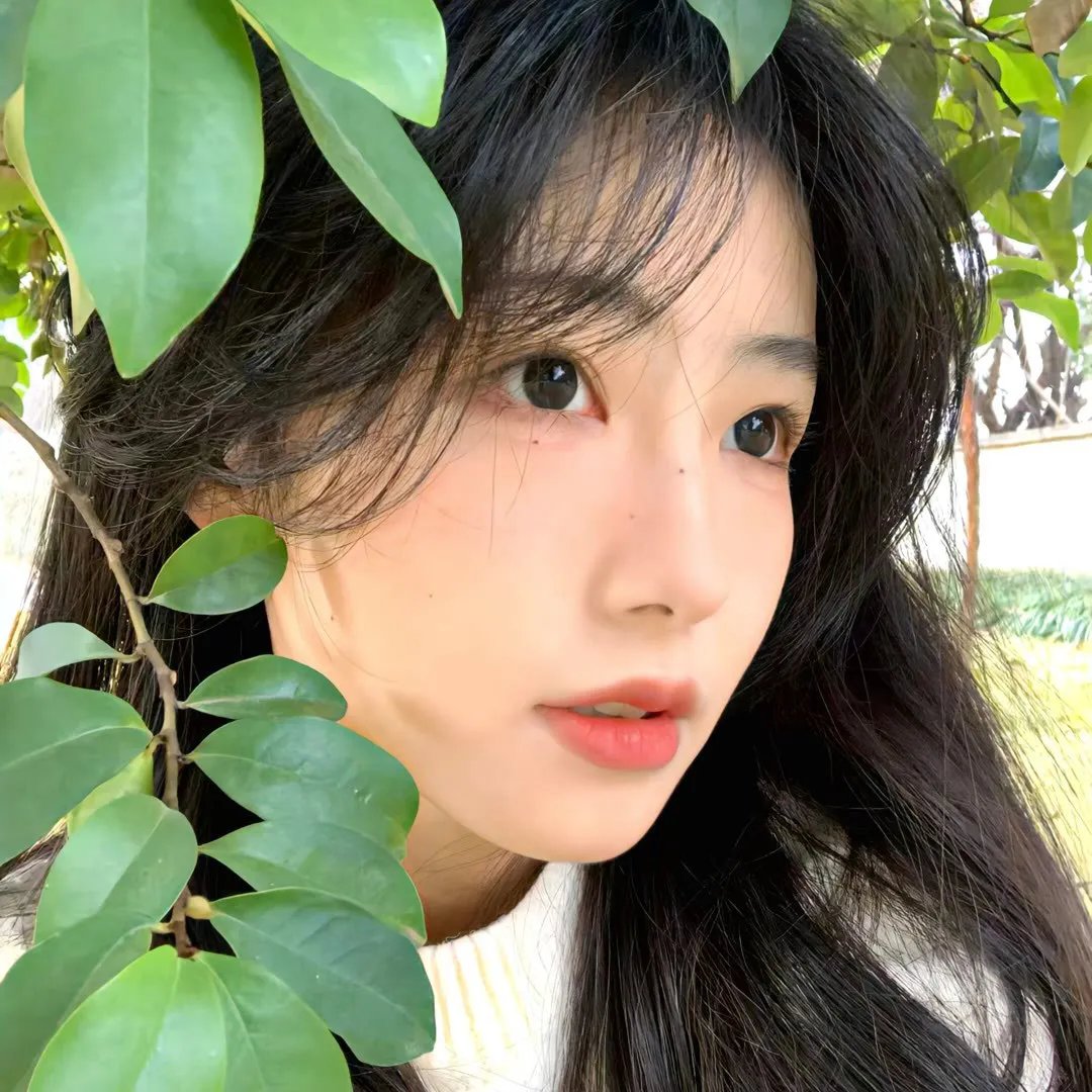 五女闹京城